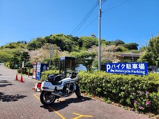 20250416_101641.jpg