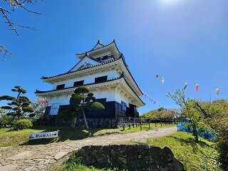 20250416_102627.jpg