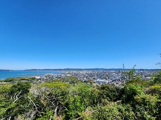 20250416_102753.jpg