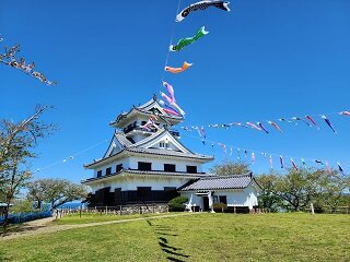 20250416_102956.jpg