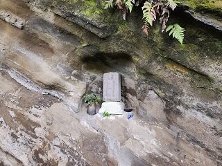 20250514_102547.jpg