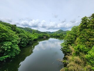 20250514_103053.jpg