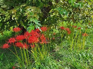 20250922_132815.jpg
