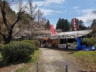 20220328_113027.jpg