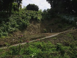 IMG_5650.JPG
