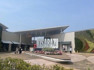 IMG_0297.jpeg