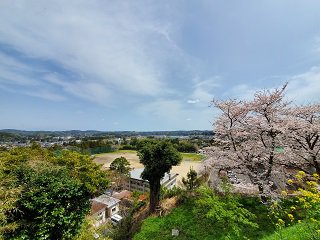 20220331_101824.jpg