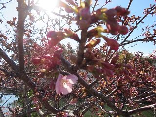 IMG_2345.JPG