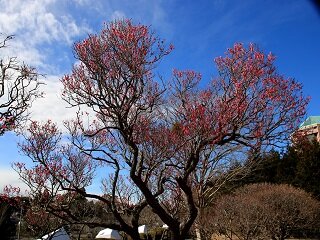 IMG_8606.JPG
