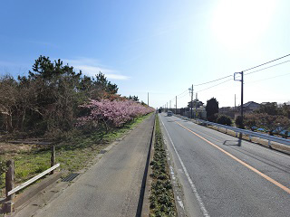 CIMG0622_2.jpg