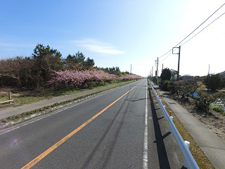 CIMG0624_2.jpg