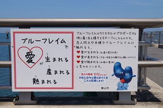 DSC01486.JPG