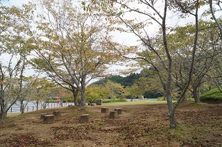 DSC01558.JPG