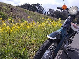 DSCN5433_2.jpg