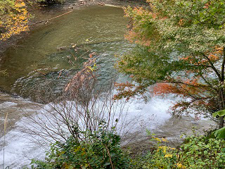 IMG-2935_3.jpg