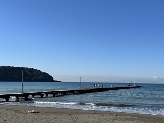 IMG-3183.jpg
