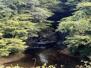 IMG_0337 (007).jpg