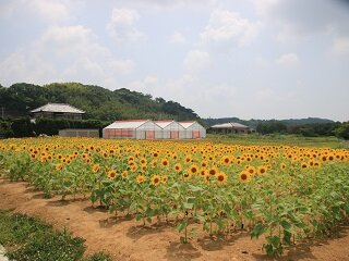 IMG_0559.JPG