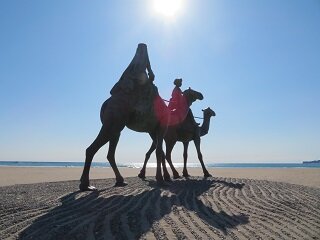 IMG_1263.JPG