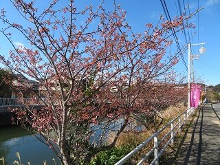 IMG_2343.JPG
