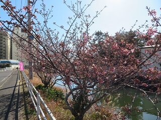 IMG_2344.JPG
