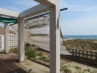IMG_2370.JPG