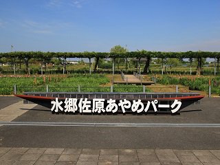 IMG_5314.JPG