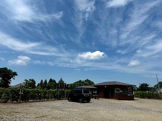 IMG_5358.JPG