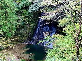 IMG_7235.JPG