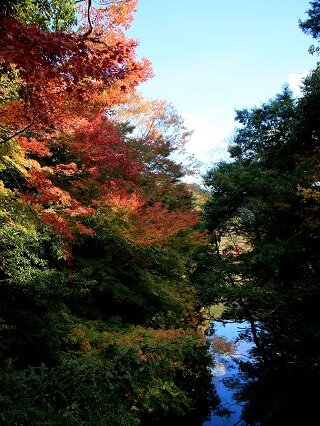 IMG_7626.JPG