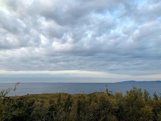 IMG_8135.JPG