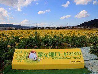 IMG_8393.JPG