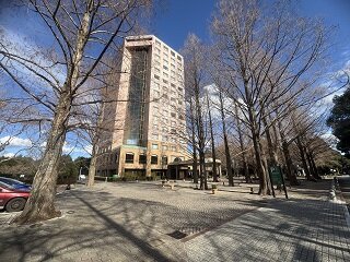 IMG_8453.jpg