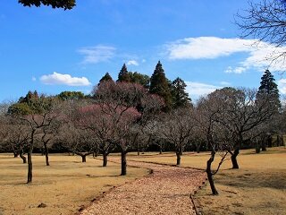 IMG_8605.JPG