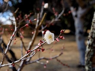 IMG_8609.JPG
