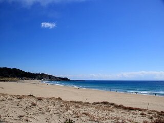 IMG_8801.JPG