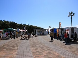 IMG_8803.JPG